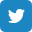 social-twitter